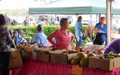 43rd Annual Maui County Senior Fair – Outside