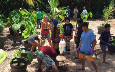 Maui Nui Botanical Garden 2017
