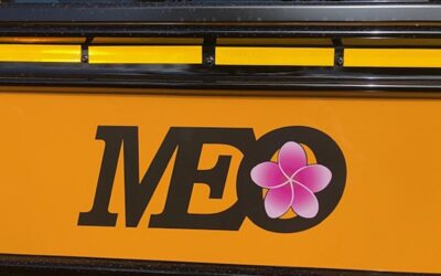 New Bus Oct 2020