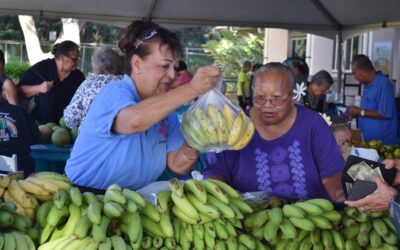 Coupons for fresh produce available for seniors