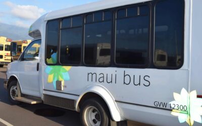 New Paratransit Advisory Committee to be formed; members sought