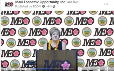 48th Annual Maui County Senior Fair Virtual Event
