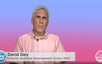 The MEO Minute 3