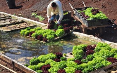 MEO NFJP collecting long-sleeve shirts for farmworkers
