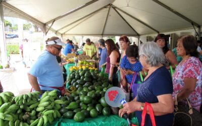 Deadline nears for Senior Fair vendor & candidate applications
