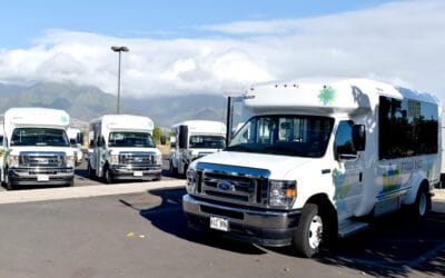 MEO Human Services and Maui Bus ADA Paratransit buses