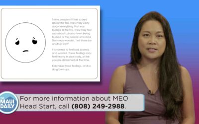 The MEO Minute – week of 8-20