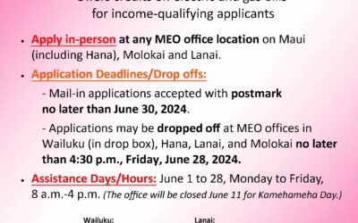 MEO begins accepting energy credit applications June 1