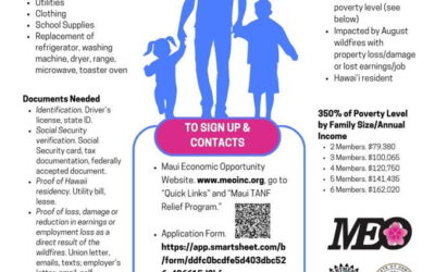 Maui Relief TANF Program offers new benefits, including appliances